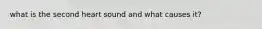 what is the second heart sound and what causes it?