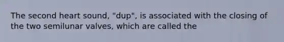 The second heart sound, "dup", is associated with the closing of the two semilunar valves, which are called the