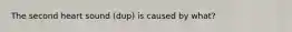 The second heart sound (dup) is caused by what?