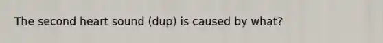 The second heart sound (dup) is caused by what?