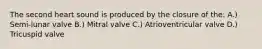 The second heart sound is produced by the closure of the: A.) Semi-lunar valve B.) Mitral valve C.) Atrioventricular valve D.) Tricuspid valve