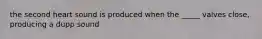 the second heart sound is produced when the _____ valves close, producing a dupp sound