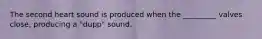 The second heart sound is produced when the _________ valves close, producing a "dupp" sound.