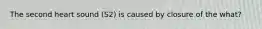 The second heart sound (S2) is caused by closure of the what?