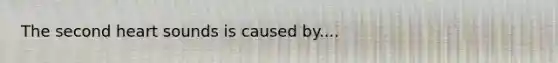 The second heart sounds is caused by....