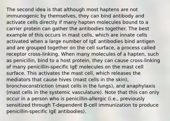 The second idea is that although most haptens are not immunogenic by themselves, they can bind antibody and activate cells directly if many hapten molecules bound to a carrier protein can gather the antibodies together. The best example of this occurs in mast cells, which are innate cells activated when a large number of IgE antibodies bind antigen and are grouped together on the cell surface, a process called receptor cross-linking. When many molecules of a hapten, such as penicillin, bind to a host protein, they can cause cross-linking of many penicillin-specific IgE molecules on the mast cell surface. This activates the mast cell, which releases the mediators that cause hives (mast cells in the skin), bronchoconstriction (mast cells in the lungs), and anaphylaxis (mast cells in the systemic vasculature). Note that this can only occur in a person who is penicillin-allergic (i.e., previously sensitized through T-dependent B-cell immunization to produce penicillin-specific IgE antibodies).