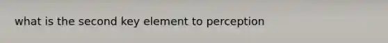 what is the second key element to perception