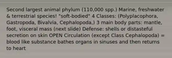 Second largest animal phylum (110,000 spp.) Marine, freshwater & terrestrial species! "soft-bodied" 4 Classes: (Polyplacophora, Gastropoda, Bivalvia, Cephalopoda,) 3 main body parts: mantle, foot, visceral mass (next slide) Defense: shells or distasteful secretion on skin OPEN Circulation (except Class Cephalopoda) = blood like substance bathes organs in sinuses and then returns to heart