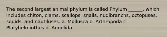 The second largest animal phylum is called Phylum ______, which includes chiton, clams, scallops, snails, nudibranchs, octopuses, squids, and nautiluses. a. Mollusca b. Arthropoda c. Platyhelminthes d. Annelida