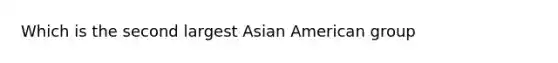 Which is the second largest Asian American group