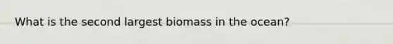 What is the second largest biomass in the ocean?