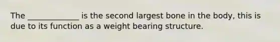 The _____________ is the second largest bone in the body, this is due to its function as a weight bearing structure.