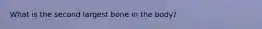 What is the second largest bone in the body?