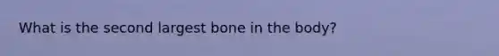 What is the second largest bone in the body?