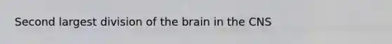 Second largest division of the brain in the CNS