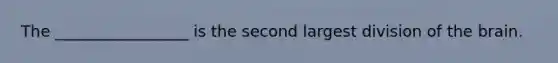 The _________________ is the second largest division of the brain.