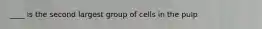 ____ is the second largest group of cells in the pulp