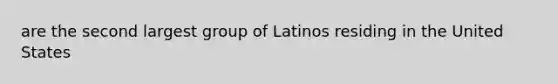 are the second largest group of Latinos residing in the United States