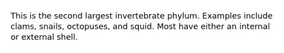 This is the second largest invertebrate phylum. Examples include clams, snails, octopuses, and squid. Most have either an internal or external shell.