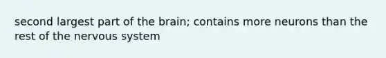 second largest part of the brain; contains more neurons than the rest of the nervous system