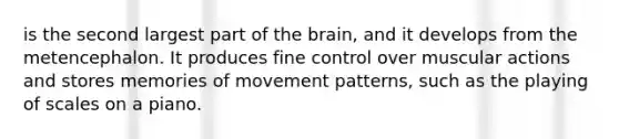 is the second largest part of the brain, and it develops from the metencephalon. It produces fine control over muscular actions and stores memories of movement patterns, such as the playing of scales on a piano.