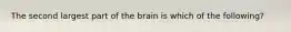 The second largest part of the brain is which of the following?