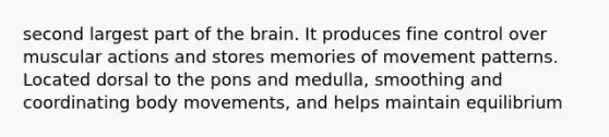 second largest part of the brain. It produces fine control over muscular actions and stores memories of movement patterns. Located dorsal to the pons and medulla, smoothing and coordinating body movements, and helps maintain equilibrium