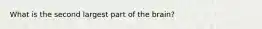 What is the second largest part of the brain?