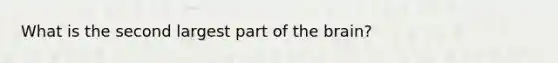 What is the second largest part of the brain?