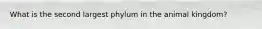 What is the second largest phylum in the animal kingdom?