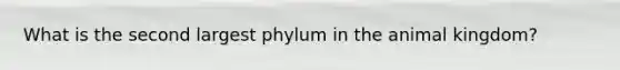 What is the second largest phylum in the animal kingdom?