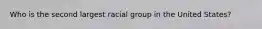 Who is the second largest racial group in the United States?