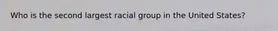 Who is the second largest racial group in the United States?