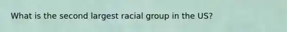 What is the second largest racial group in the US?