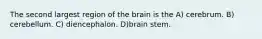 The second largest region of the brain is the A) cerebrum. B) cerebellum. C) diencephalon. D)brain stem.