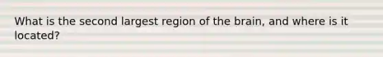 What is the second largest region of the brain, and where is it located?