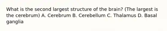 What is the second largest structure of the brain? (The largest is the cerebrum) A. Cerebrum B. Cerebellum C. Thalamus D. Basal ganglia