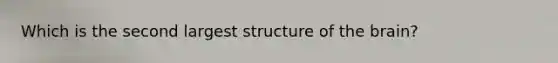 Which is the second largest structure of the brain?