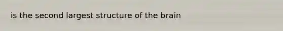 is the second largest structure of the brain