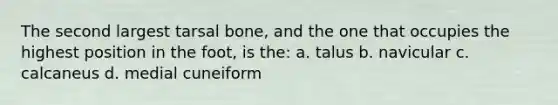 The second largest tarsal bone, and the one that occupies the highest position in the foot, is the: a. talus b. navicular c. calcaneus d. medial cuneiform