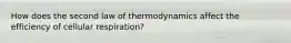 How does the second law of thermodynamics affect the efficiency of cellular respiration?