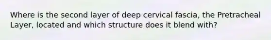 Where is the second layer of deep cervical fascia, the Pretracheal Layer, located and which structure does it blend with?