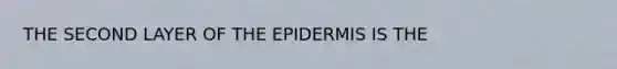 THE SECOND LAYER OF THE EPIDERMIS IS THE