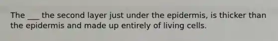 The ___ the second layer just under the epidermis, is thicker than the epidermis and made up entirely of living cells.