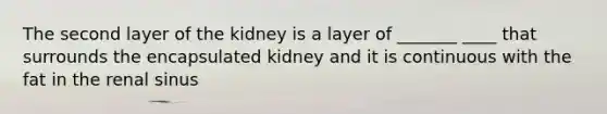 The second layer of the kidney is a layer of _______ ____ that surrounds the encapsulated kidney and it is continuous with the fat in the renal sinus