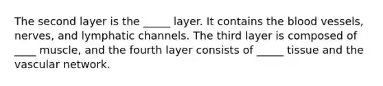 The second layer is the _____ layer. It contains the blood vessels, nerves, and lymphatic channels. The third layer is composed of ____ muscle, and the fourth layer consists of _____ tissue and the vascular network.