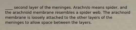 ____ second layer of <a href='https://www.questionai.com/knowledge/k36SqhoPCV-the-meninges' class='anchor-knowledge'>the meninges</a>. Arachn/o means spider, and the arachnoid membrane resembles a spider web. The arachnoid membrane is loosely attached to the other layers of the meninges to allow space between the layers.