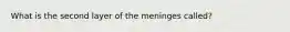 What is the second layer of the meninges called?