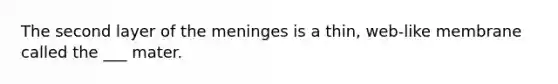 The second layer of <a href='https://www.questionai.com/knowledge/k36SqhoPCV-the-meninges' class='anchor-knowledge'>the meninges</a> is a thin, web-like membrane called the ___ mater.