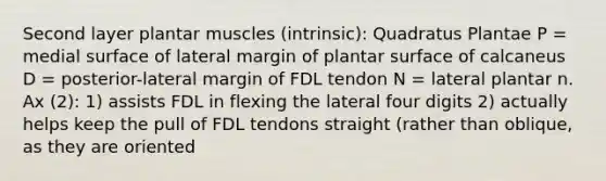 Second layer plantar muscles (intrinsic): Quadratus Plantae P = medial surface of lateral margin of plantar surface of calcaneus D = posterior-lateral margin of FDL tendon N = lateral plantar n. Ax (2): 1) assists FDL in flexing the lateral four digits 2) actually helps keep the pull of FDL tendons straight (rather than oblique, as they are oriented